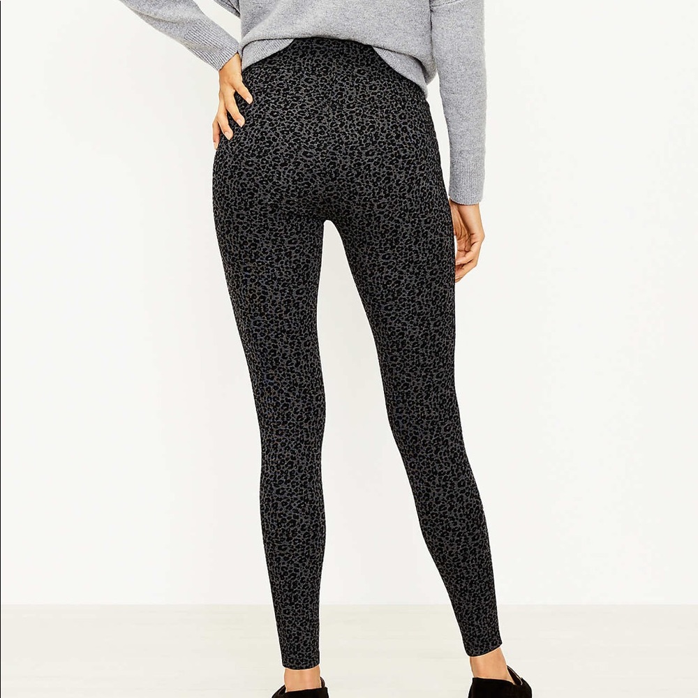 Loft Leopard Print Ponte Leggings Size MP